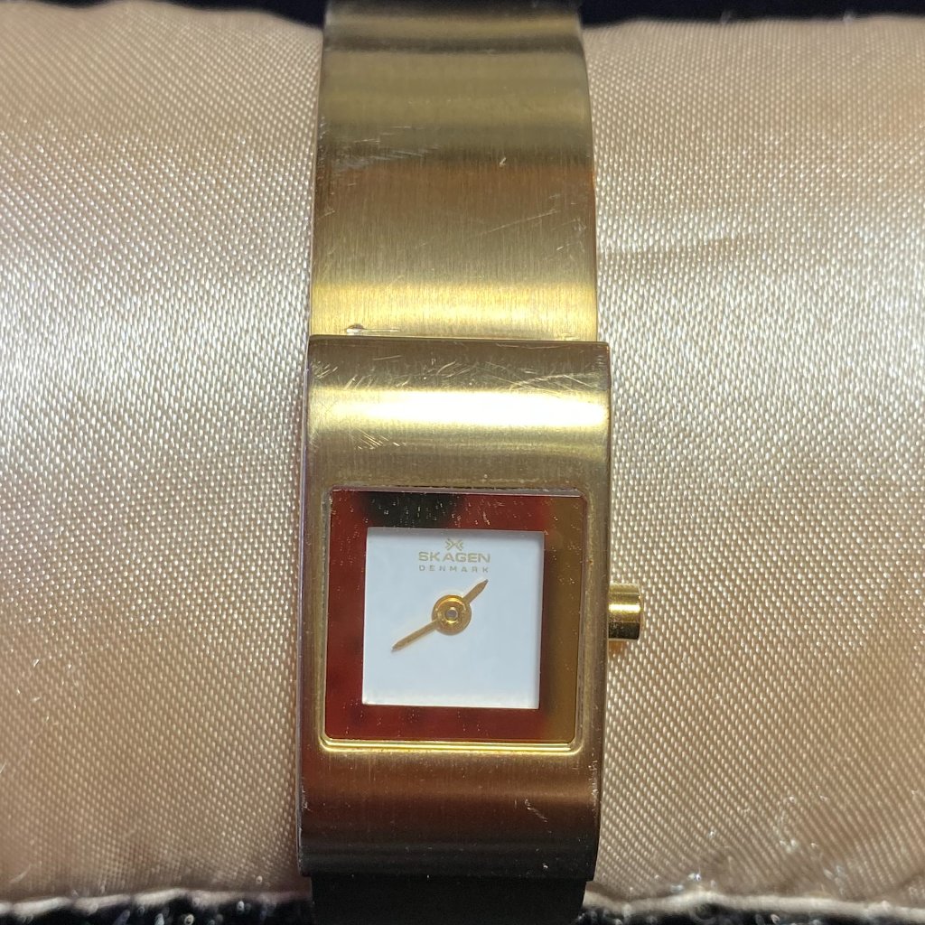Skagen Denmark Womens Watch Gold Tone Case WBracelet Band